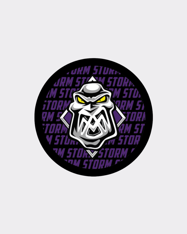 Manchester Storm 26-27 Purple Text Puck