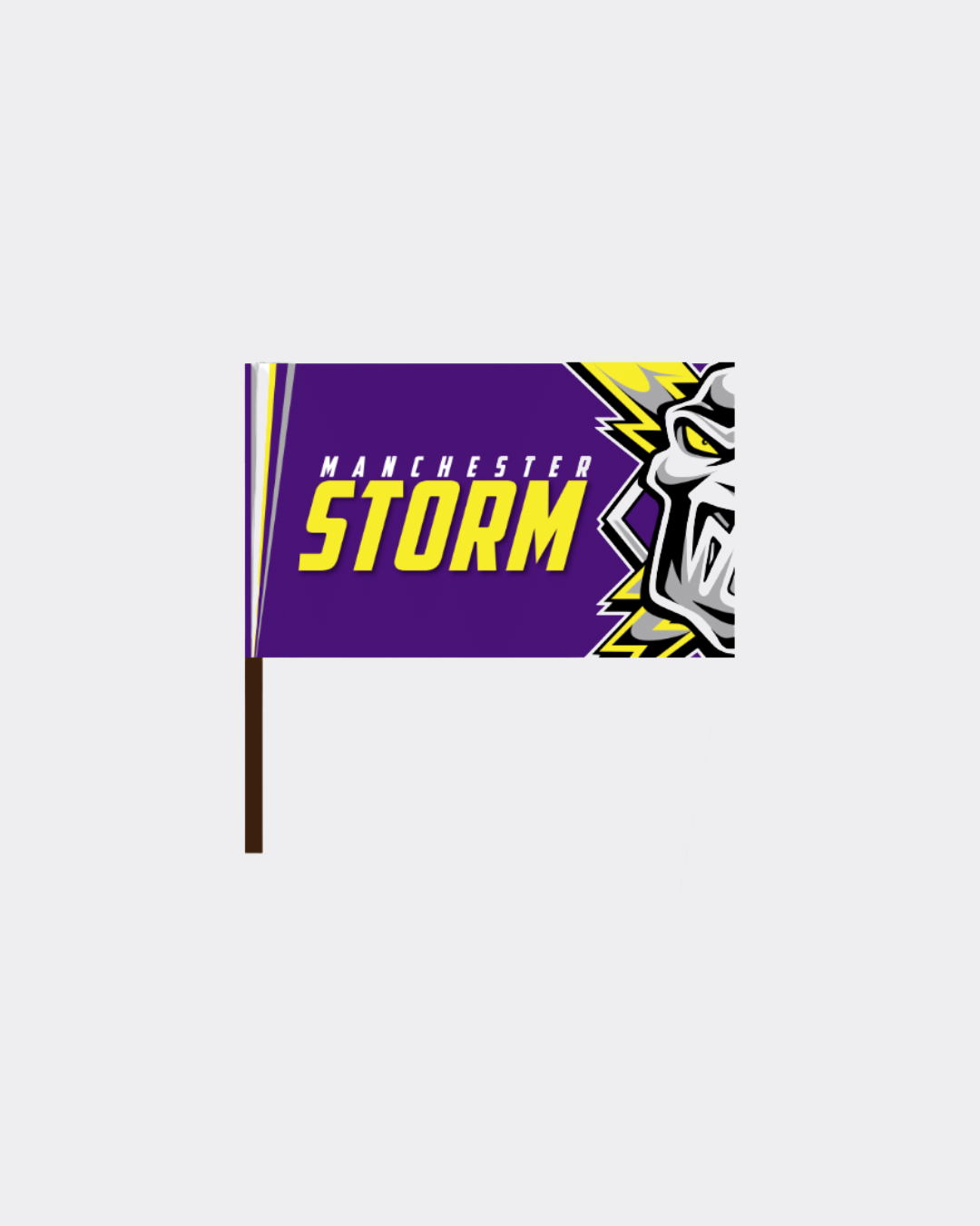 Manchester Storm Mini Team Flag