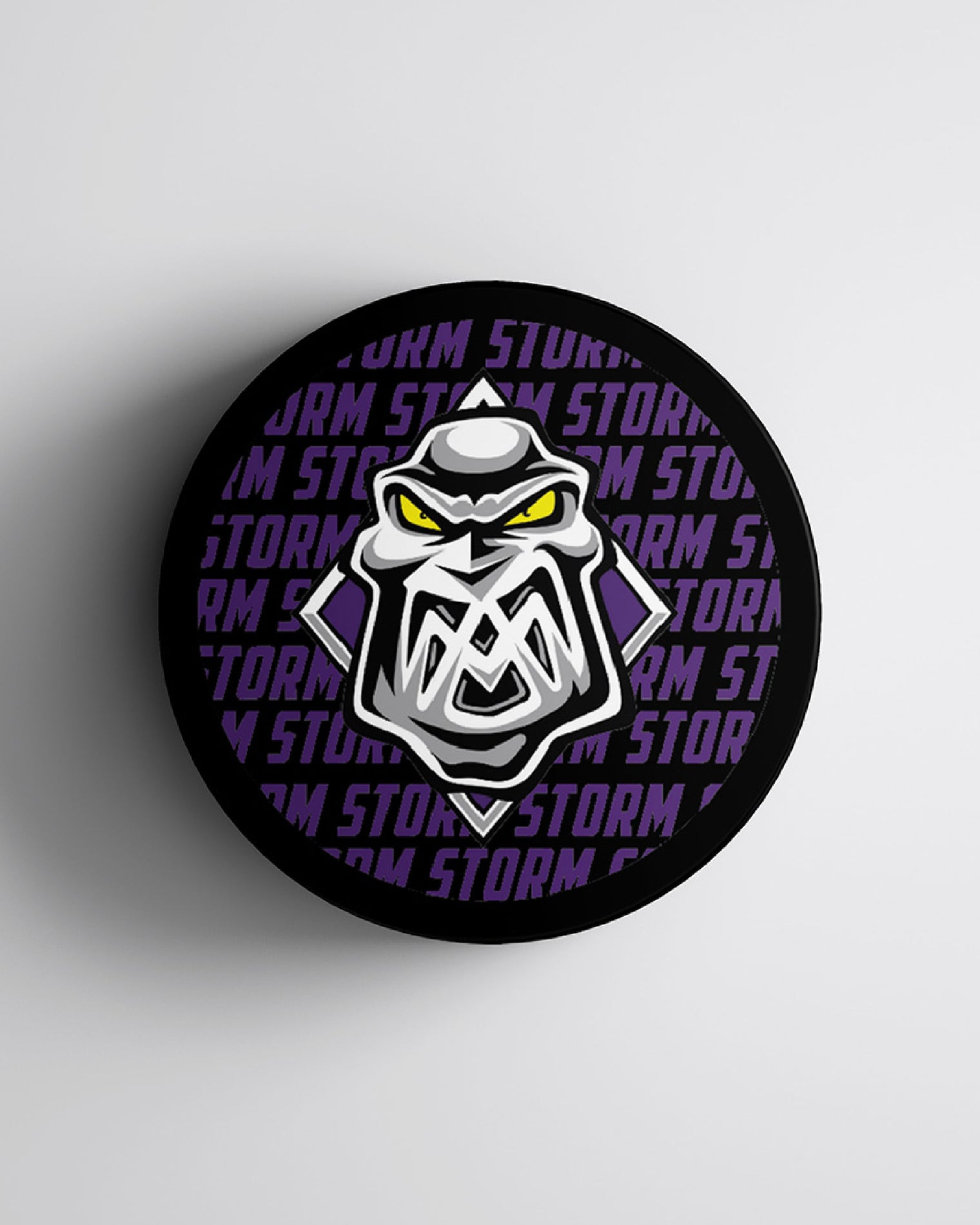 Manchester Storm 26-27 Purple Text Puck